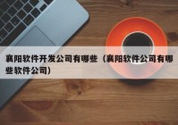 襄阳软件开发公司有哪些（襄阳软件公司有哪些软件公司）