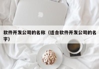 软件开发公司的名称（适合软件开发公司的名字）