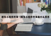 原生小程序开发（原生小程序开发是什么意思）