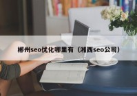 郴州seo优化哪里有（湘西seo公司）