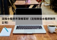 沈阳小程序开发哪家好（沈阳微信小程序制作公司）