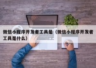 微信小程序开发者工具是（微信小程序开发者工具是什么）