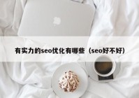 有实力的seo优化有哪些（seo好不好）