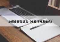 小程序开发语言（小程序开发难吗）