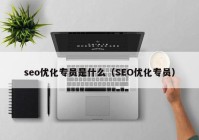 seo优化专员是什么（SEO优化专员）