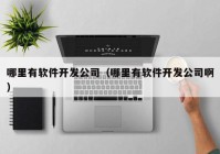 哪里有软件开发公司（哪里有软件开发公司啊）