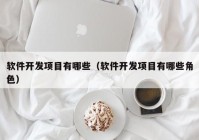 软件开发项目有哪些（软件开发项目有哪些角色）